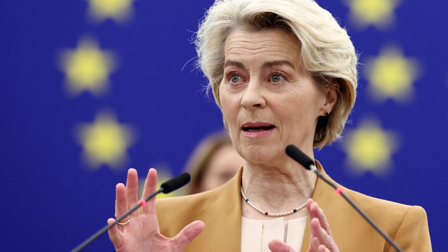 Agriculture : la présidente de la Commission européenne propose de retirer un texte réduisant l'usage des pesticides